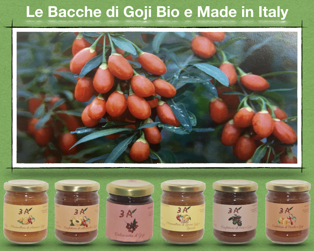 LE BACCHE DI GOJI BIO MADE IN ITALY - https://www.lireshopping.com/shop/azienda-agricola-3a-amore-ambiente-agricoltura?flag=1
