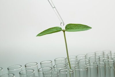 Figura illustrativa Società Cooperativa Agricola Desirè