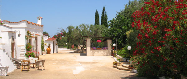 OLIO EVO BIOLOGICO CERTIFICATO - https://www.lireshopping.com/shop/i-poderi-del-sole-olio-pugliese-biologico?flag=1