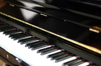 Figura illustrativa Enrico Calebich