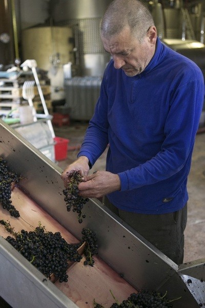 Figura illustrativa Azienda Agricola La Travaglina