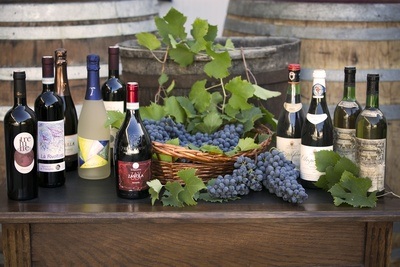 Figura illustrativa Azienda Agricola La Travaglina