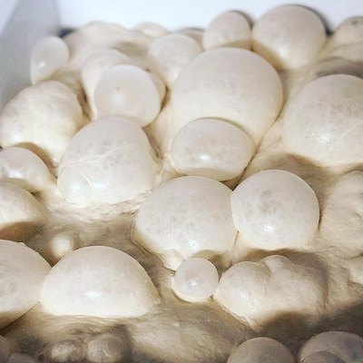 Figura illustrativa Marcus di Malusa Marco