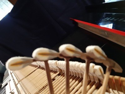 Figura illustrativa Enrico Calebich