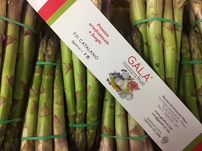 Figura illustrativa Gala Fruit Srl