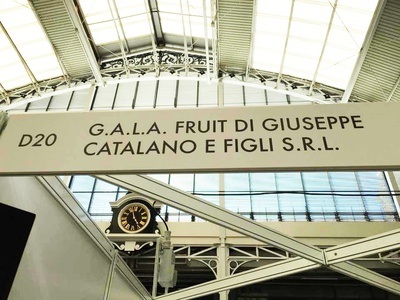 Figura illustrativa Gala Fruit Srl