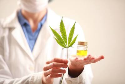 Figura illustrativa Weedbase Store