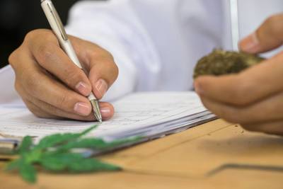 Figura illustrativa Canapa King