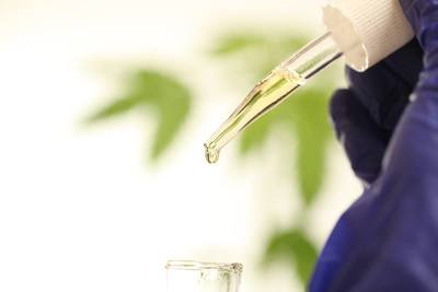 Figura illustrativa Weedbase Store