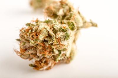 Figura illustrativa Weedbase Store