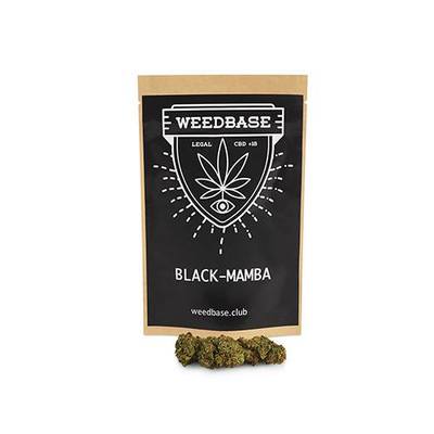 Figura illustrativa Weedbase Store