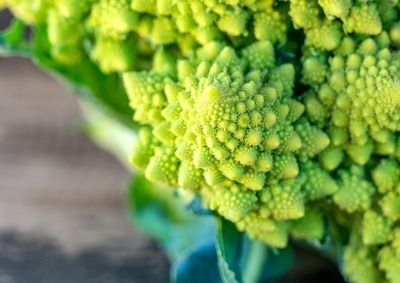 Figura illustrativa Gala Fruit Srl