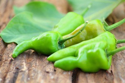 Figura illustrativa Gala Fruit Srl