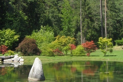 Figura illustrativa Hotel Bellavista S.n.c.