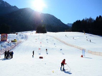 Figura illustrativa Hotel Bellavista S.n.c.