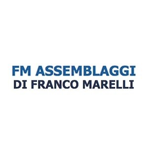 logo F.M.Assemblaggi di Marelli Franco