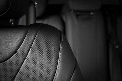 Figura illustrativa Zena Washing