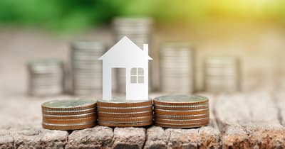 Figura illustrativa Dott Renato Donzelli