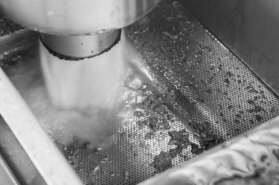 Figura illustrativa Consolini Celso