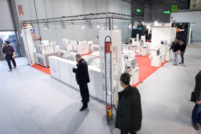 Figura illustrativa Fenix