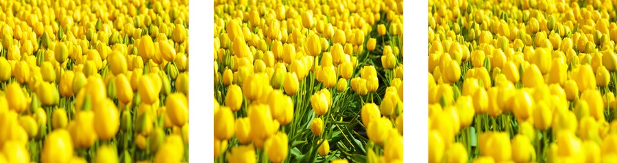 Figura illustrativa Na.Or. Group S.n.c. di Bozza Francesco Pietro & C.