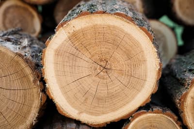 Figura illustrativa F.lli Morettini Legna & Giardini snc