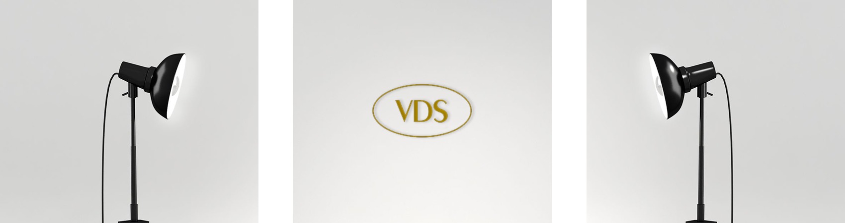 Figura illustrativa VDS Movers Srl