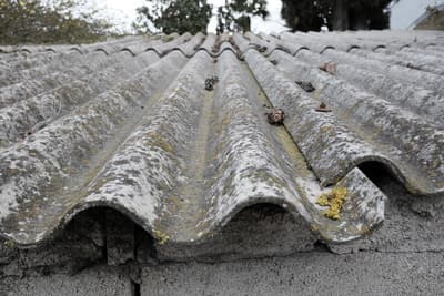 Figura illustrativa Maffio Renato