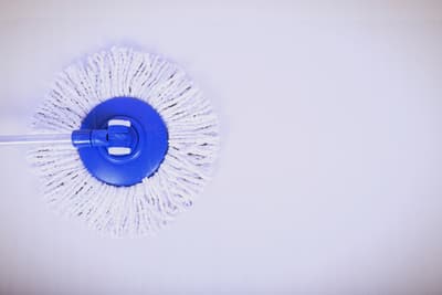 Figura illustrativa Newsplendid