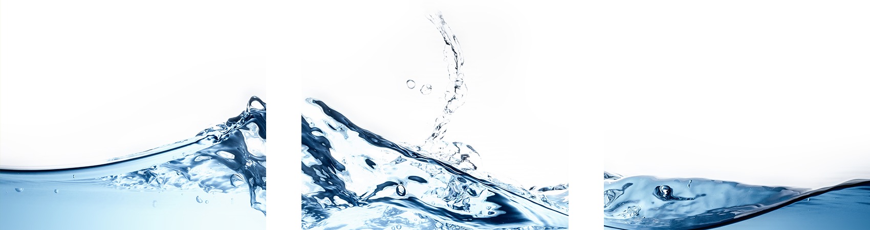 Figura illustrativa Newsplendid