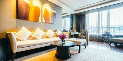 Figura illustrativa Tappezziere Pedeferri