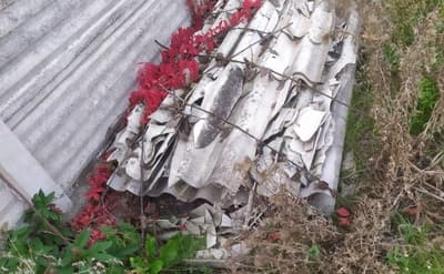 Figura illustrativa Maffio Renato