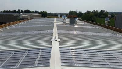 Figura illustrativa Maffio Renato