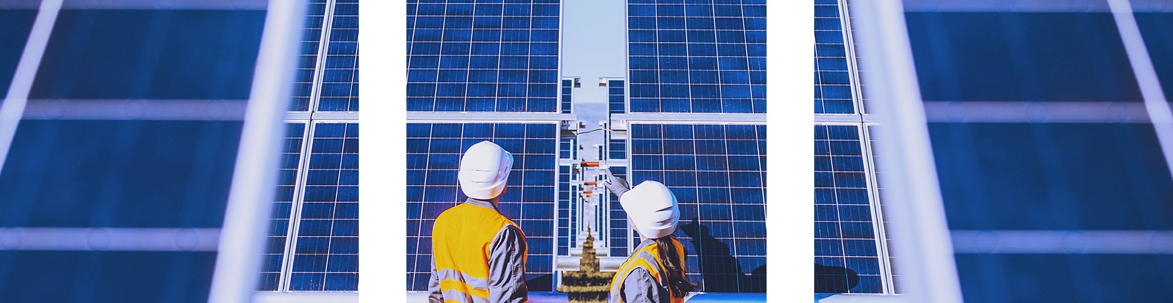 Figura illustrativa Teampower SRL