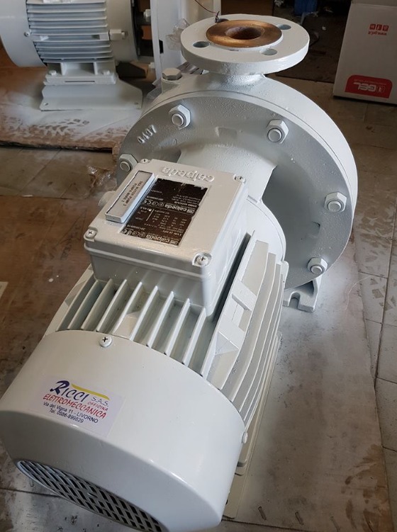 Figura illustrativa Ricci Sas