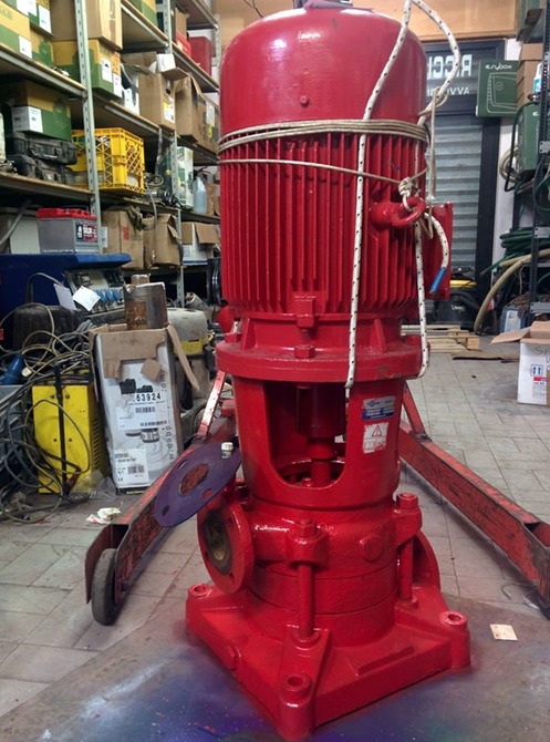 Figura illustrativa Ricci Sas