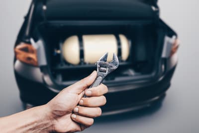 Figura illustrativa Bollino Blu