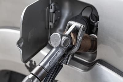 Figura illustrativa Bollino Blu