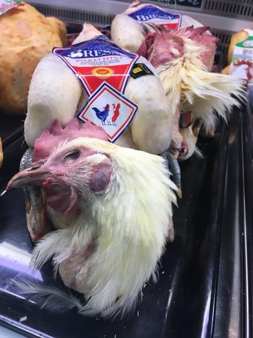 POULET DE BRESSE. - specialità Francese : i polli sono allevati all’aperto ed alimentati con un aggiunta di latte così da rendere la carne , oltre che candida anche molto morbida 