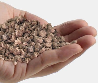 Figura illustrativa Vigna Tech