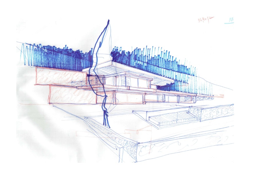 Figura illustrativa Architetto Cinzia Frapporti