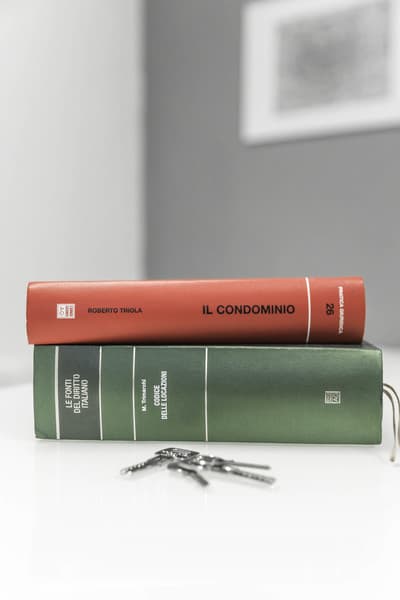 Figura illustrativa STUDIO LEGALE CITTERIO