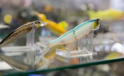 Figura illustrativa Esca & Pesca