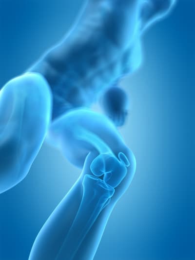 Figura illustrativa Centro Salute e Medicina Kines Srl