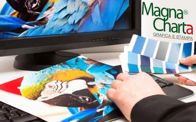 Figura illustrativa Magna Charta