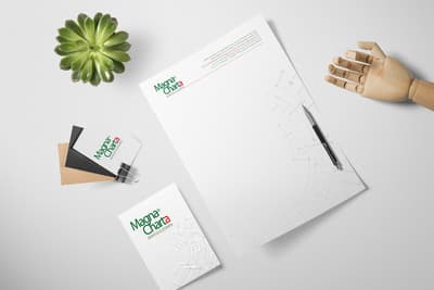 Figura illustrativa Magna Charta