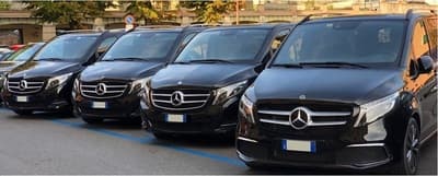 Figura illustrativa Venere N.C.C. di Veneziani Enrico