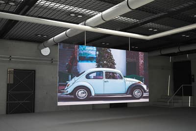 Figura illustrativa Magna Charta