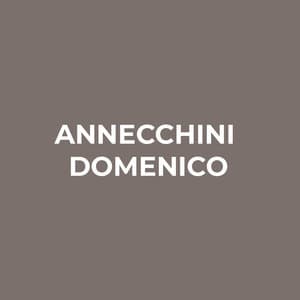 logo Annecchini Domenico