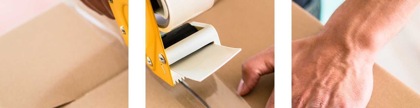 Figura illustrativa Annecchini Domenico